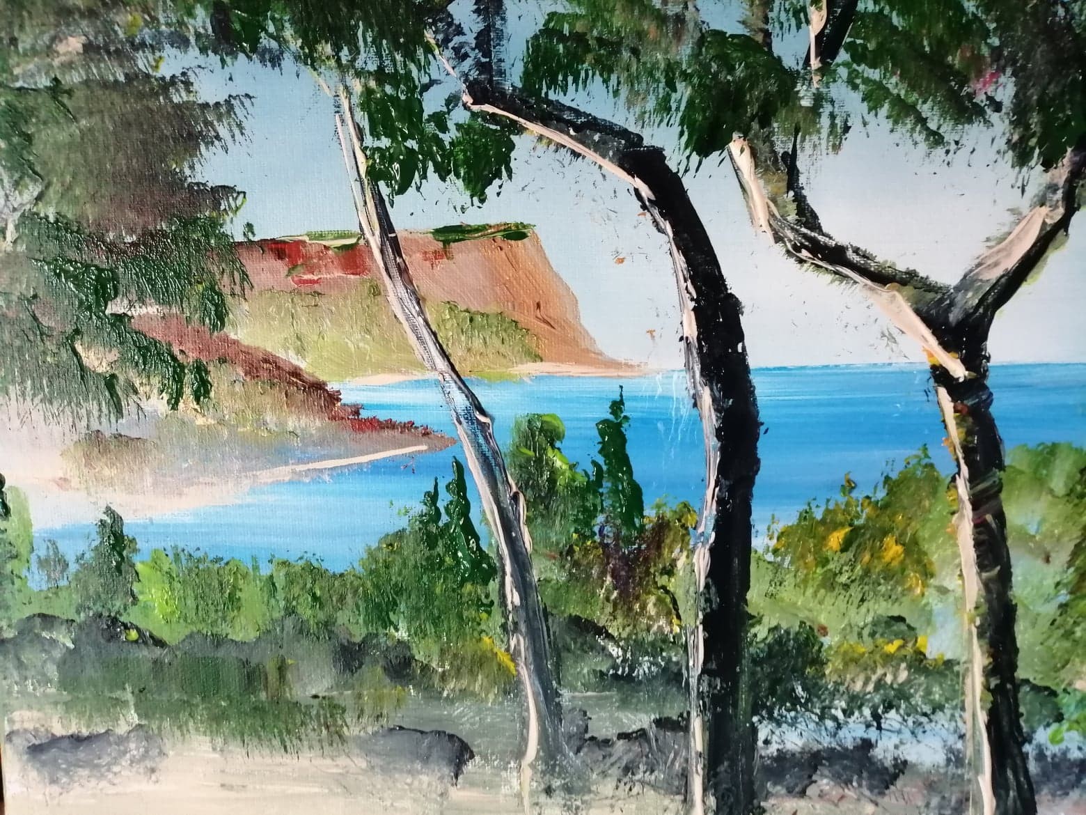 Dans la region de CASSIS