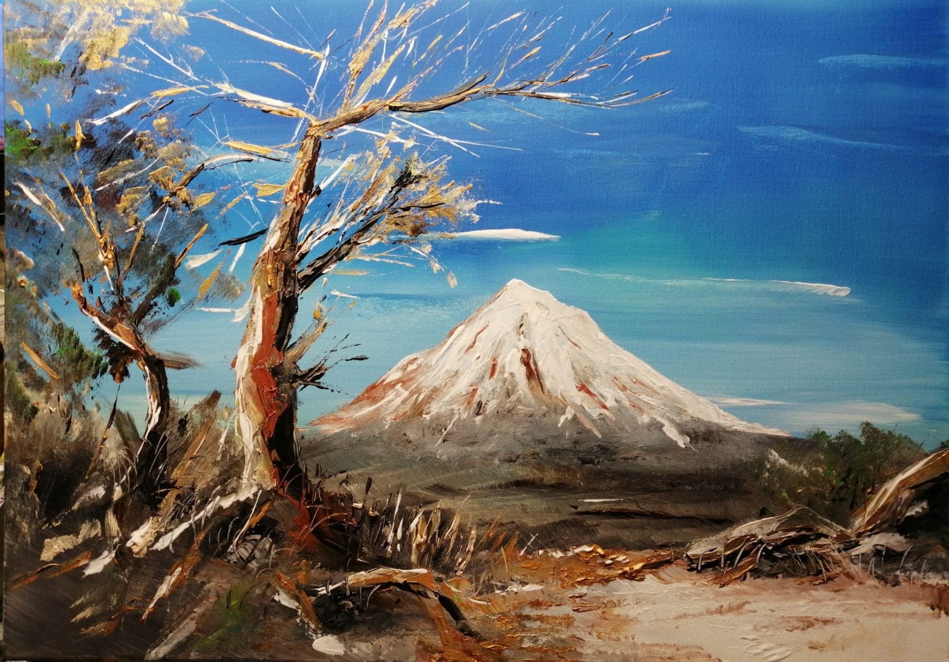 Mont shasta en californie 50 x 70 cm